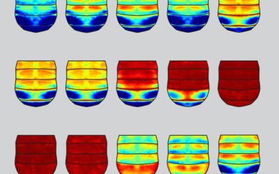 Gene regulation study reports surprising results: Extensive regions of DNA belong to multiple gene switches