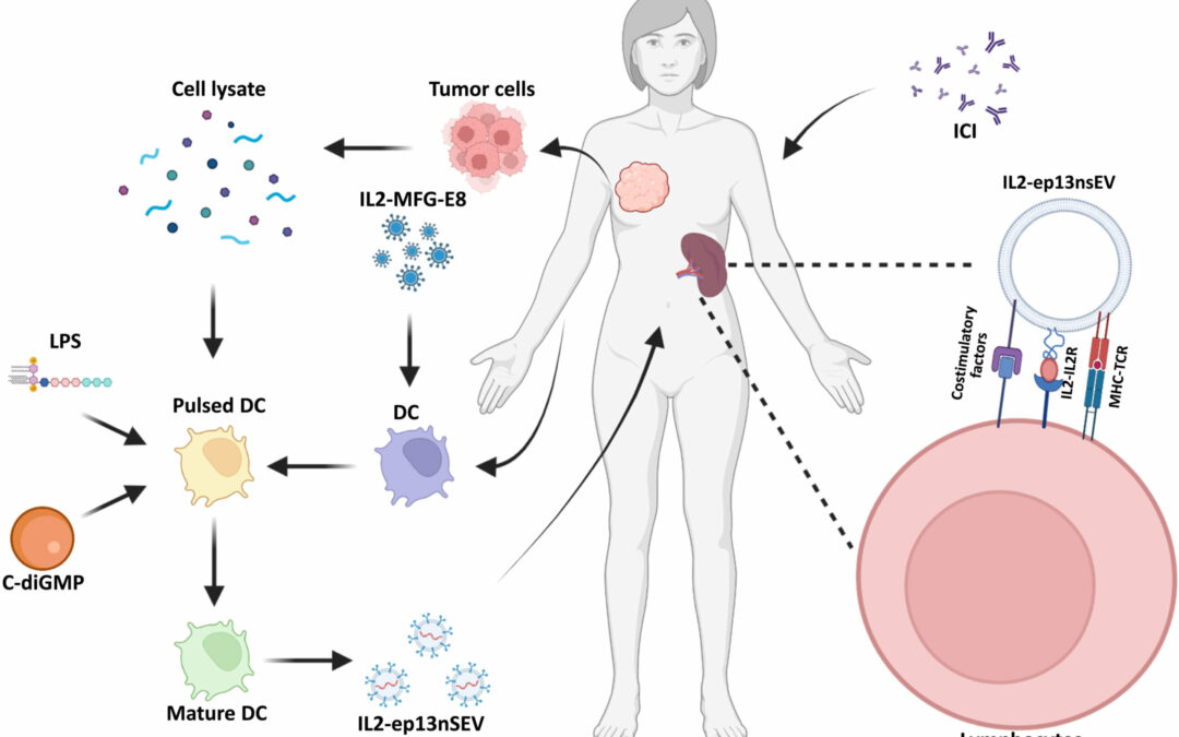 Bioengineering active immunotherapy for personalized cancer treatment