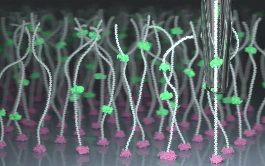 Extreme DNA resolution: Spatially multiplexed single-molecule translocations through a nanopore at controlled speeds