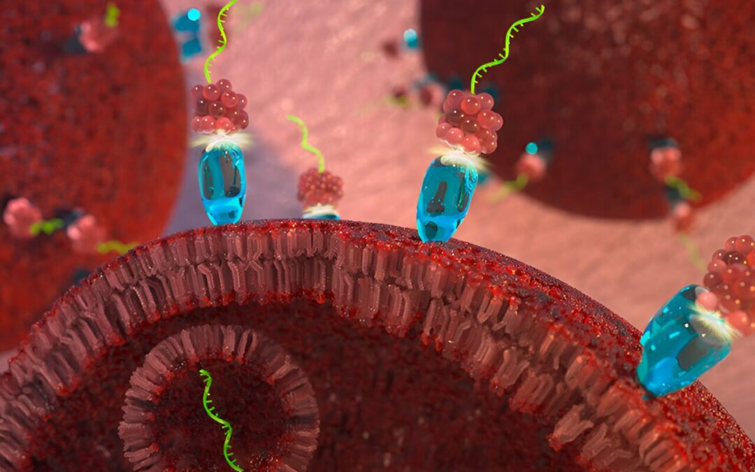 First-in-class targeted microRNA therapy slows cancer tumor growth