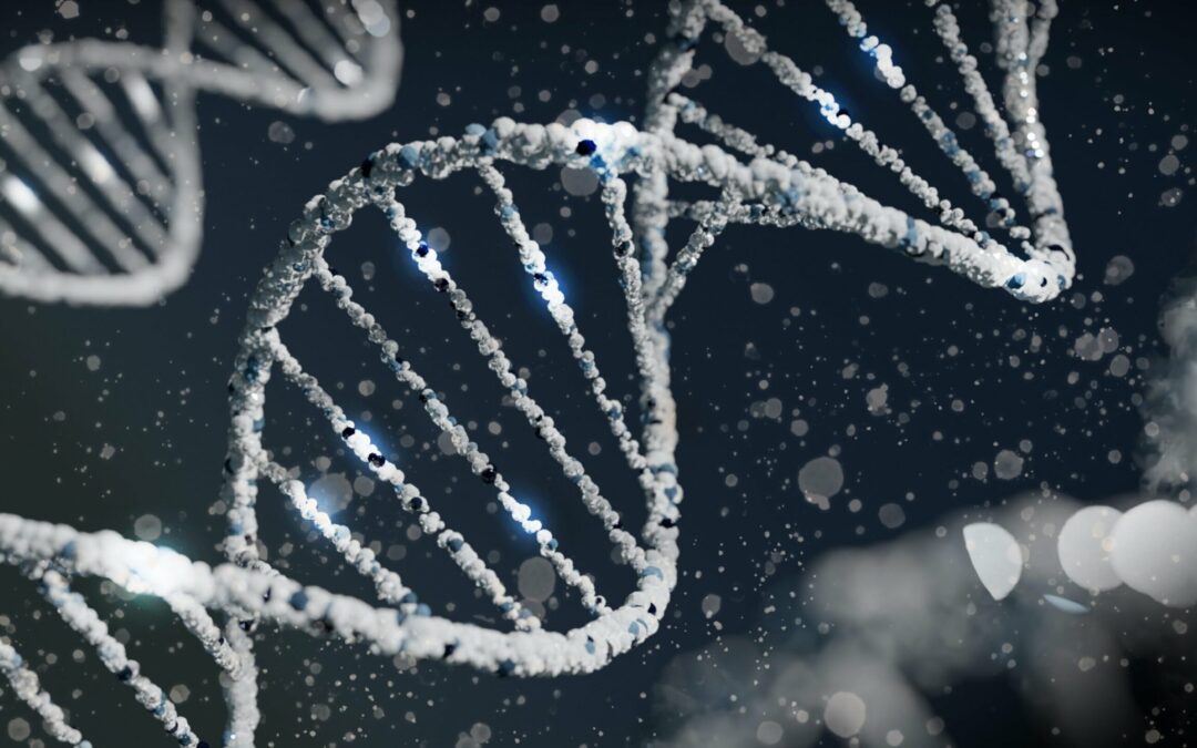 Researchers identify novel genetic variants associated with Alzheimer’s disease