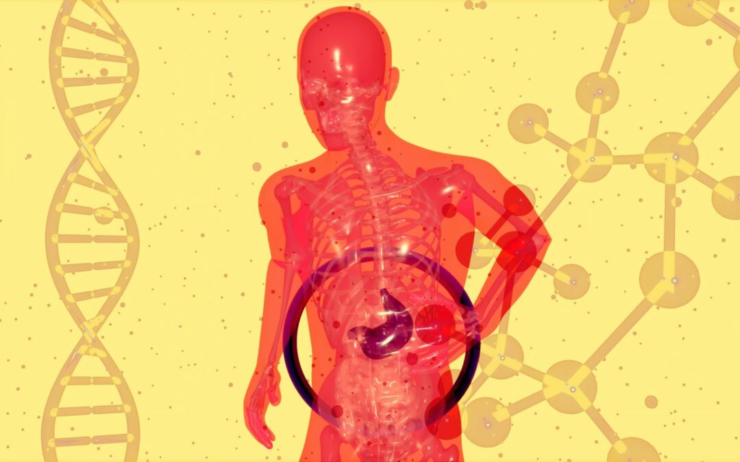 Research gives new insights into the role food intake plays in fighting antimicrobial resistance