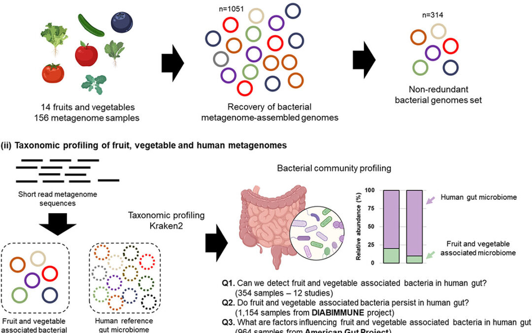Study shows the microbiome of fruit and vegetables positively influences diversity in the gut
