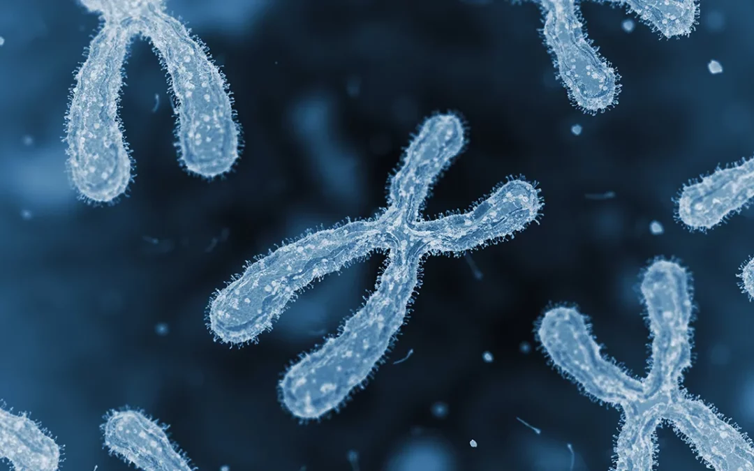 Centromeres Mutate More Rapidly Than Expected