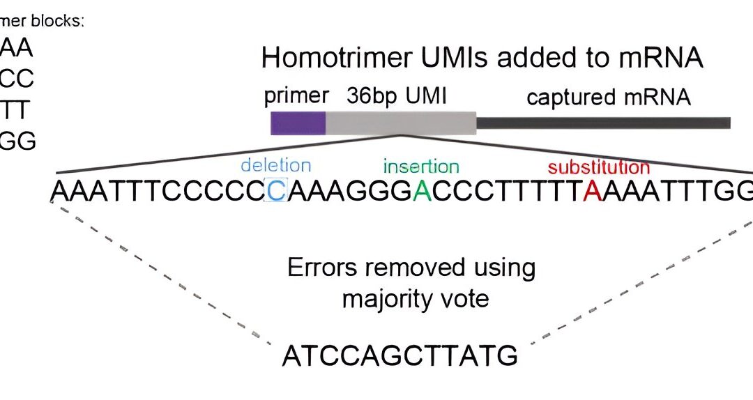 Improving accuracy of molecular quantification in high throughput sequencing