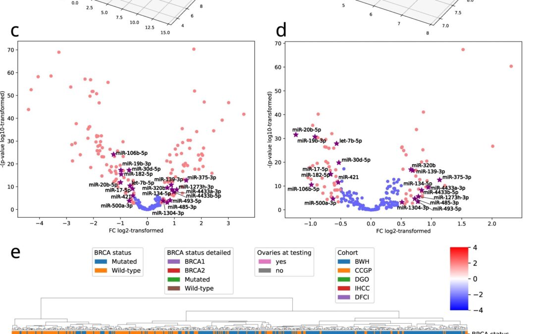 New study suggests simple test could detect breast and ovarian cancer risk without genetic sequencing