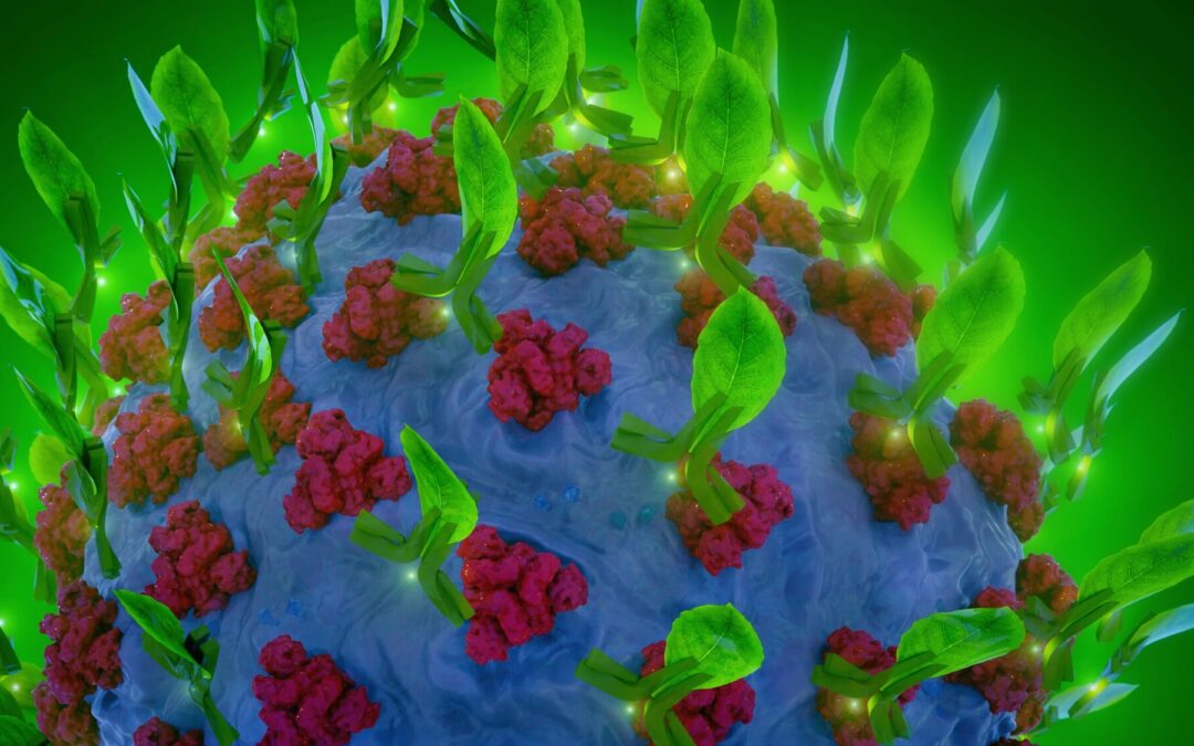 Potential new treatment for COVID-19 is made from plants