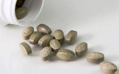 Project aims to end 'ambiguity' of plant-based medicine
