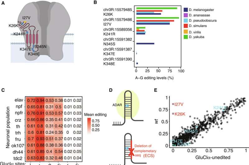 rna-editing-plays-crit