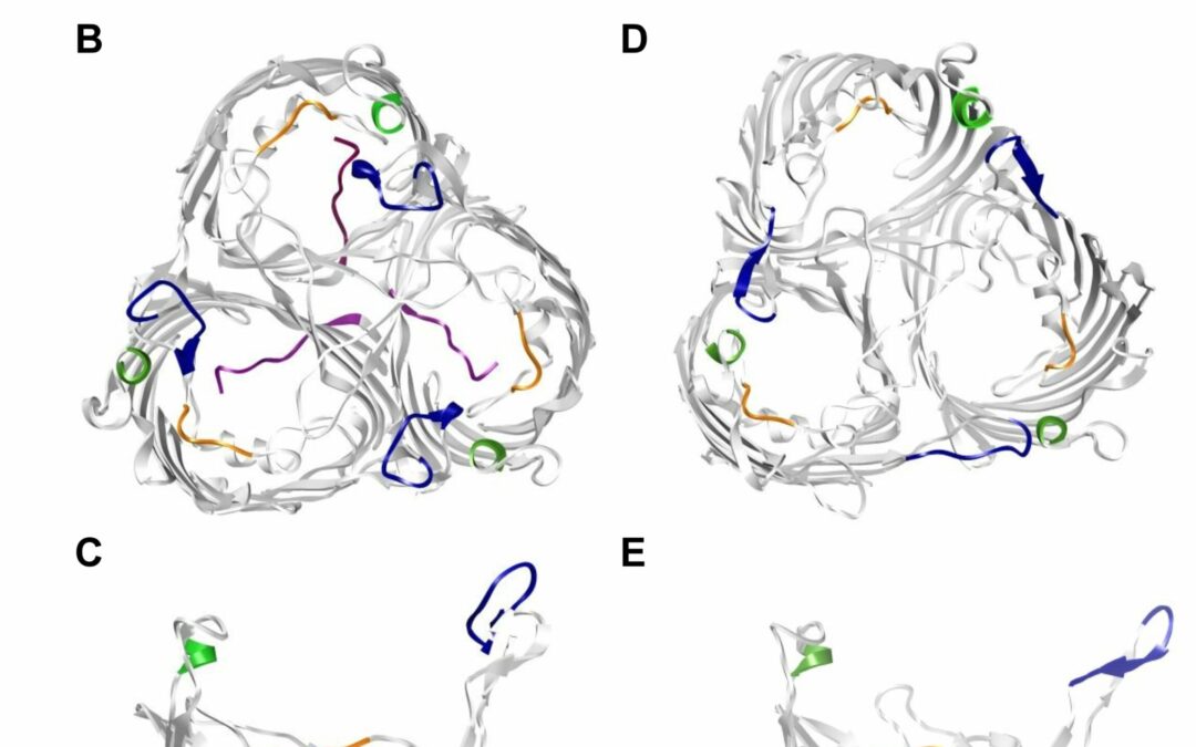 Scientist uncovers roots of antibiotic resistance