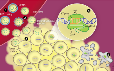 CRISPR Quashes Cancer in Mice