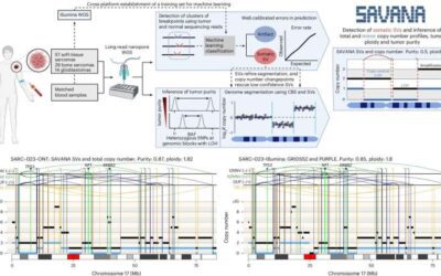 Machine learning algorithm brings long-read sequencing to the clinic
