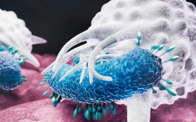 Microbes Fuel the Immune Cells That Engulf Them