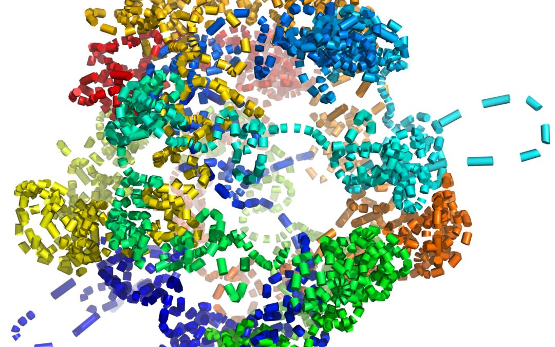 AI tool reveals single-cell structure of chromosomes in 3D