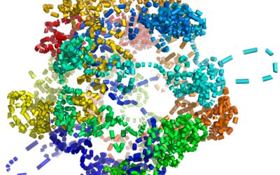 AI tool reveals single-cell structure of chromosomes in 3D