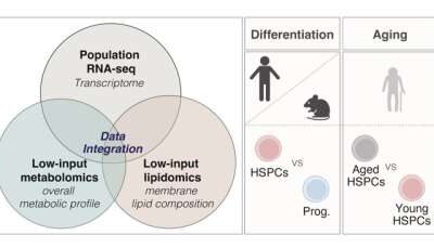 Blood stem cell metabolism tracked through aging and cancer development