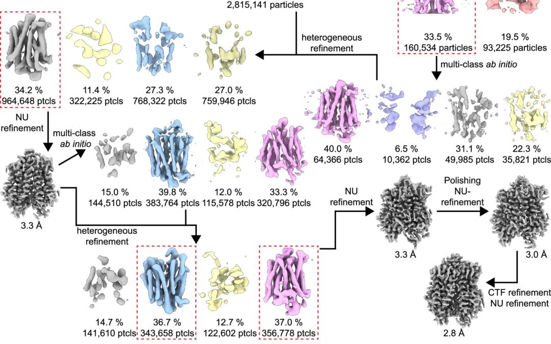 A new genetic link to pain provides a promising drug target