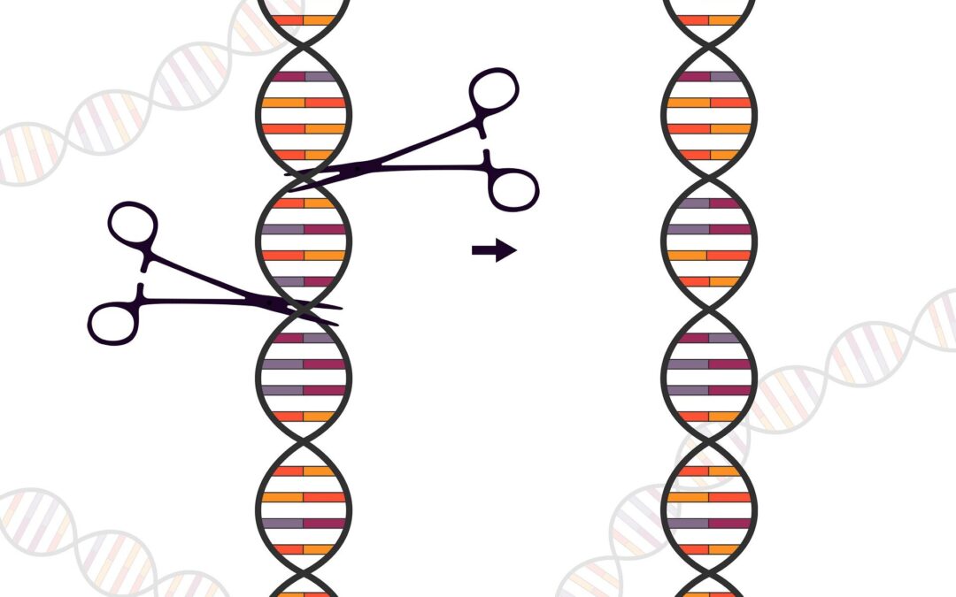 Customized gene-editing technology shows potential to treat lethal pediatric disease