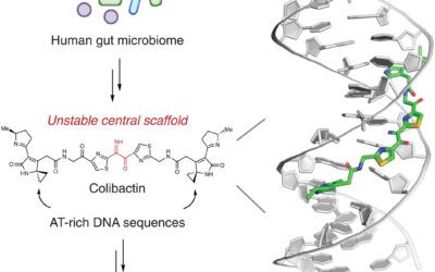 Gut bacteria’s hidden toxin acts as DNA glue, fueling colorectal cancer risk