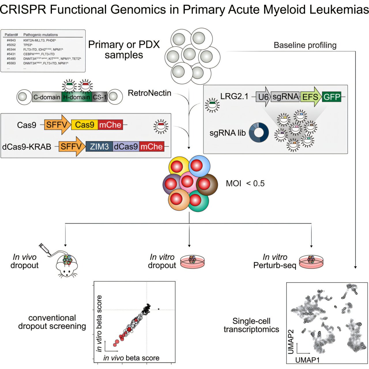 crispr-based-platform