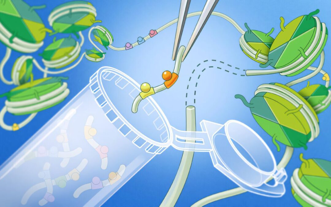 A new genetic tool helps researchers uncover the logic of gene regulation