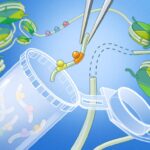 A new genetic tool helps researchers uncover the logic of gene regulation