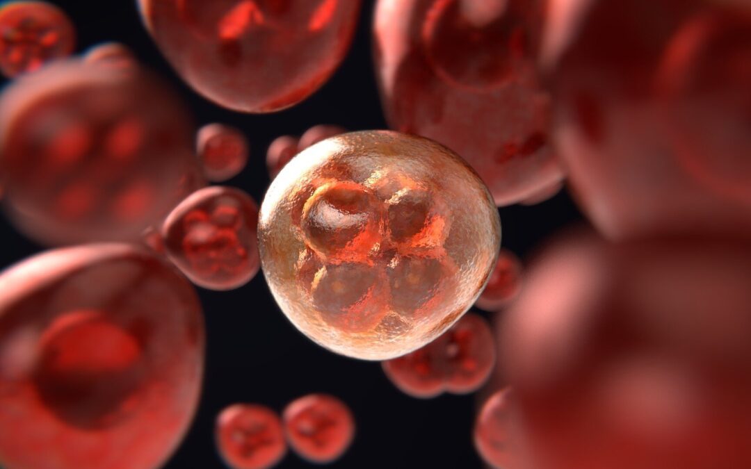 Discovery shows how cancer takes hold as cells divide