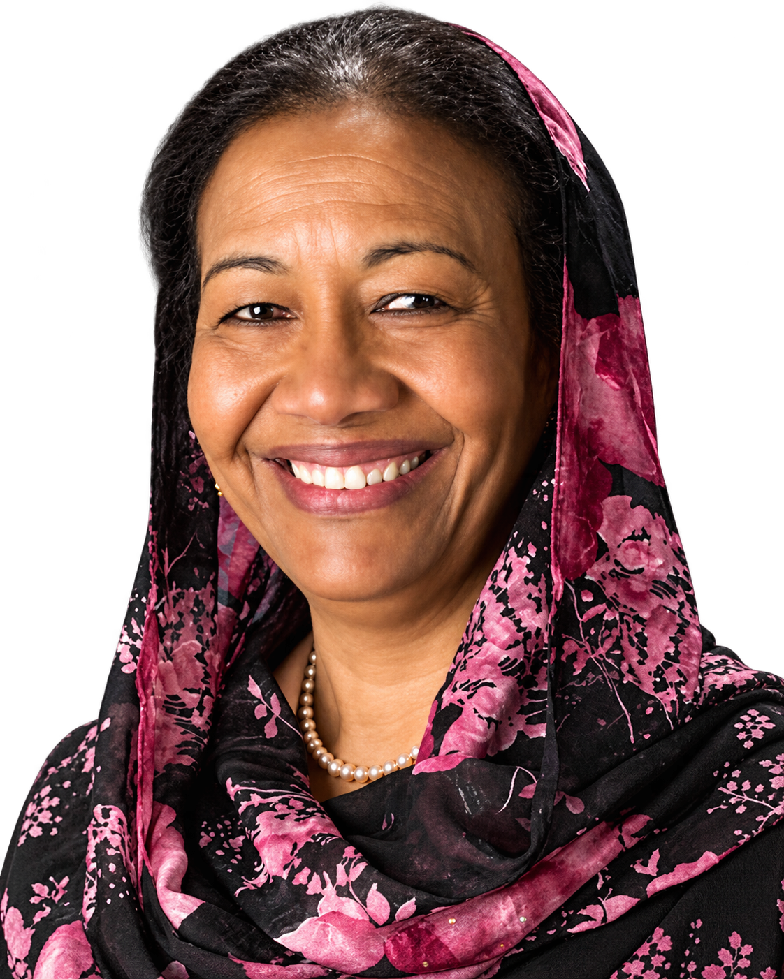 Prof Sulma Ibrahim Mohammed